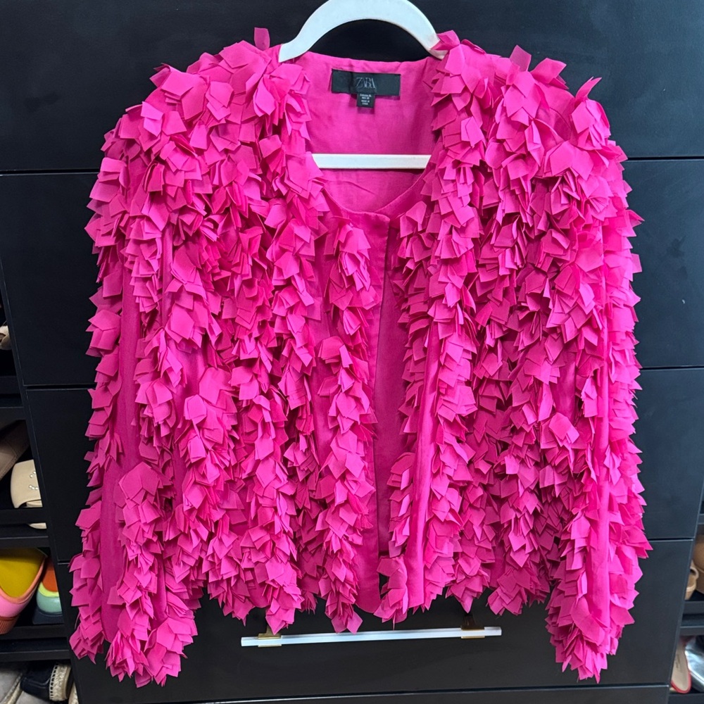 Zara 3D Jacket